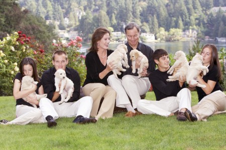 breeder salary available puppies breeder salary available puppies